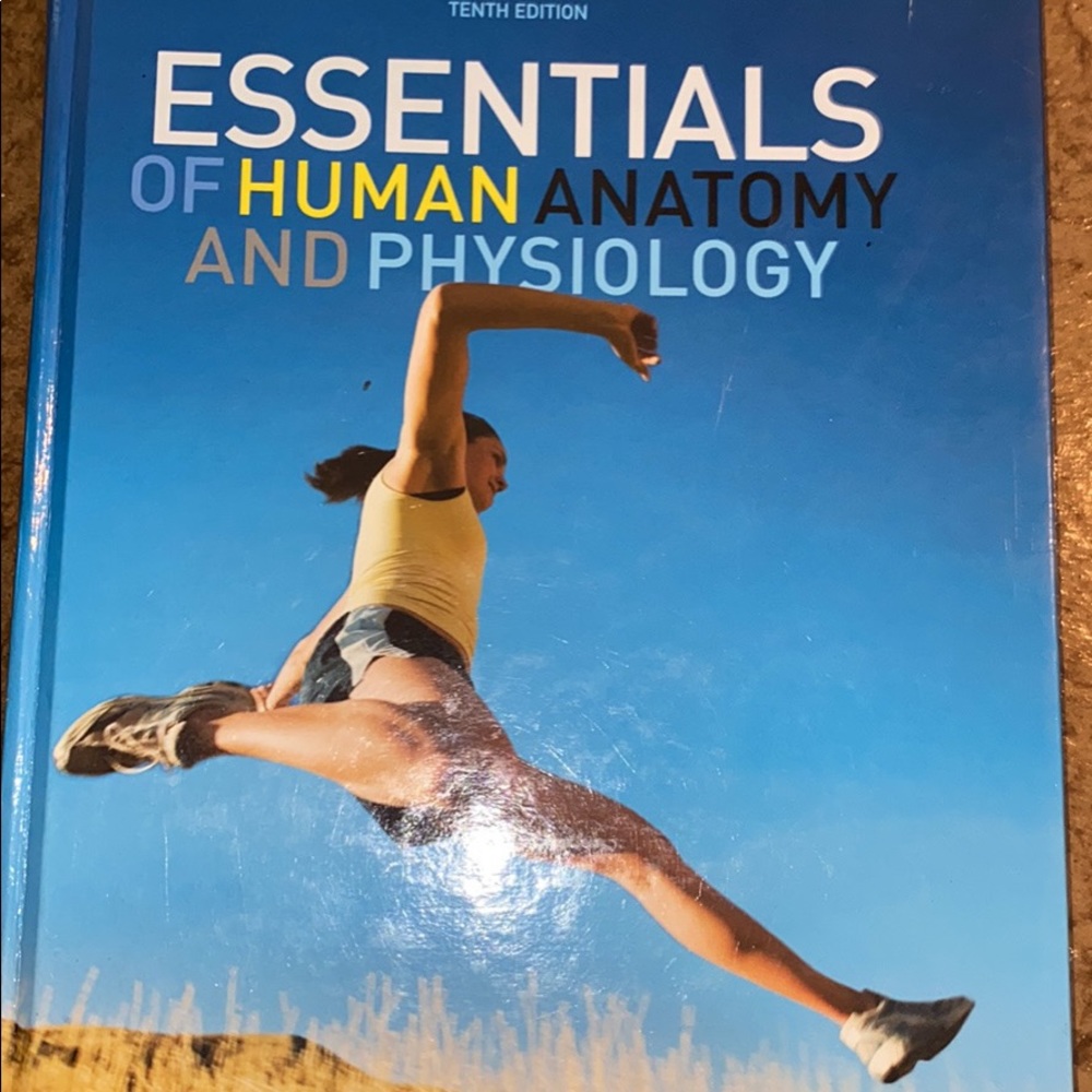 Essentials to human anatomy 10 th edition